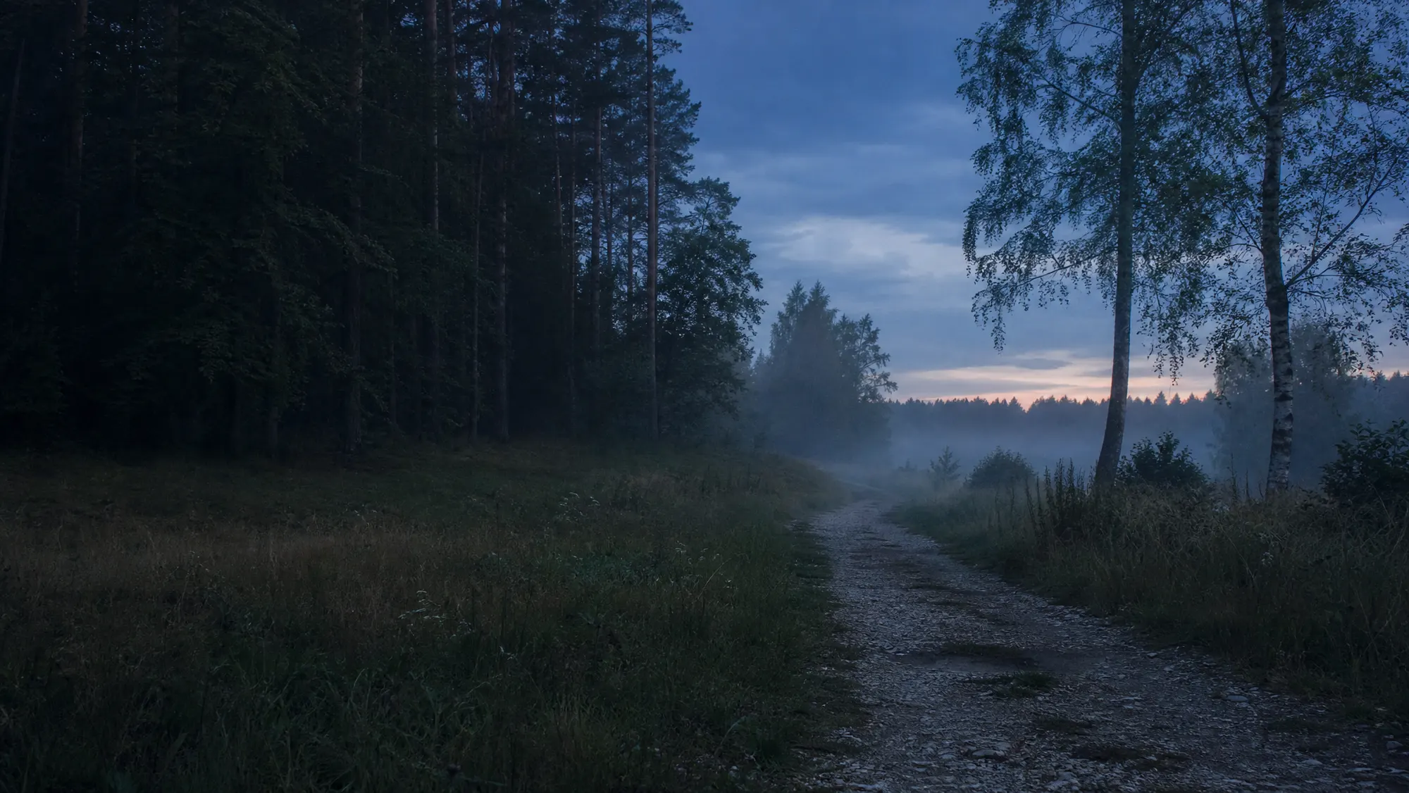Ilustrační fotografie: kraj lesoparku